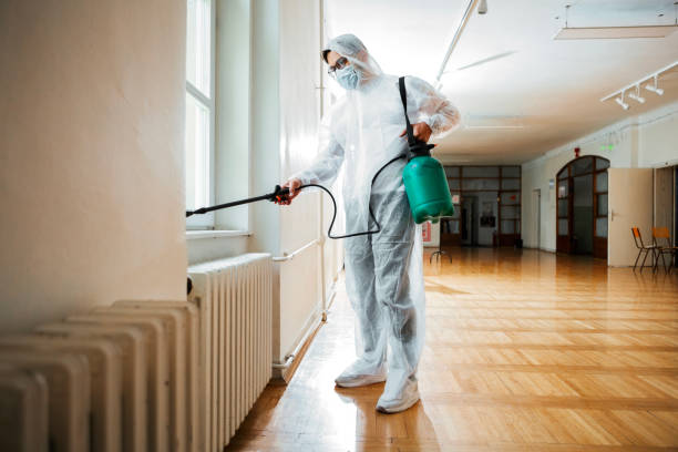 Best Pest Prevention Services  in Green Valley, AZ